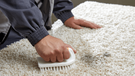 Professional Rug Cleaning North Shore