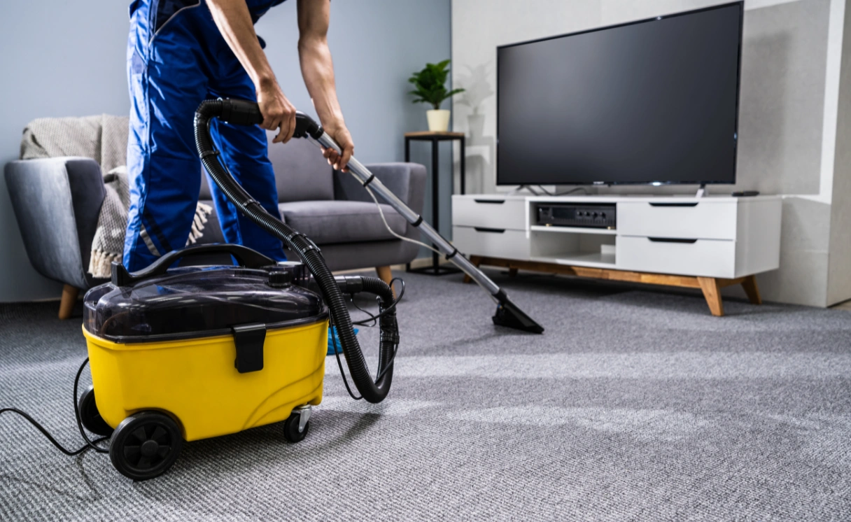 Extract Rug Cleaning North Shore Contact Office